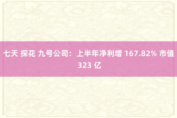 七天 探花 九号公司：上半年净利增 167.82% 市值 323 亿