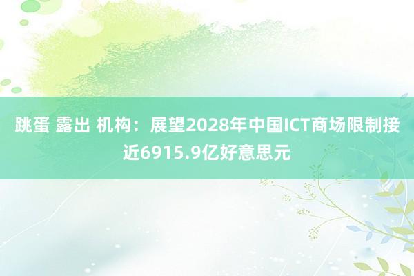 跳蛋 露出 机构：展望2028年中国ICT商场限制接近6915.9亿好意思元