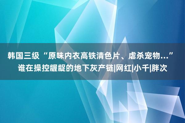 韩国三级 “原味内衣高铁清色片、虐杀宠物...” 谁在操控龌龊的地下灰产链|网红|小千|胖次