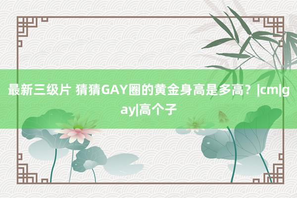 最新三级片 猜猜GAY圈的黄金身高是多高？|cm|gay|高个子