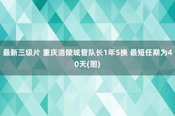 最新三级片 重庆涪陵城管队长1年5换 最短任期为40天(图)