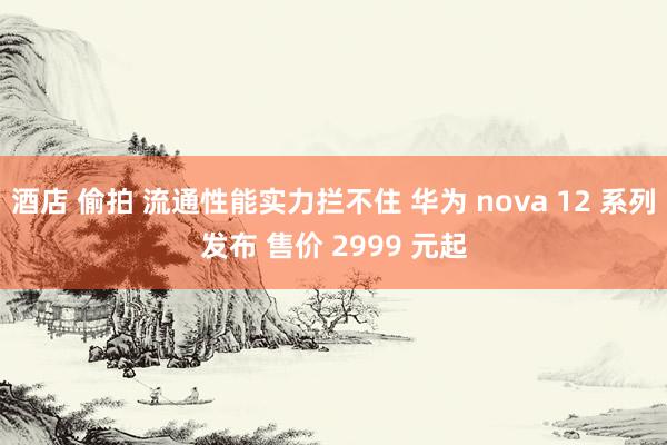 酒店 偷拍 流通性能实力拦不住 华为 nova 12 系列发布 售价 2999 元起